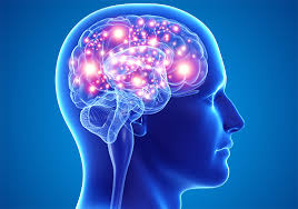 CerebroLogix Logo